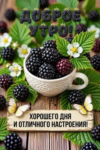 Открытка ДОБРОЕ УТРО! ХОРОШЕГО ДНЯ И ОТЛИЧНОГО НАСТРОЕНИЯ!