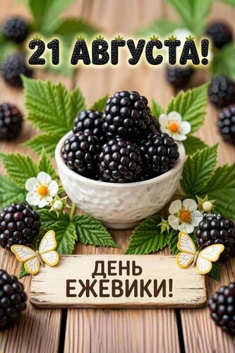 Открытка 21 АВГУСТА. ДЕНЬ ЕЖЕВИКИ.
