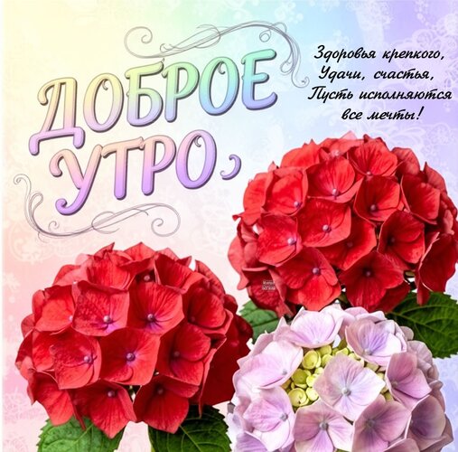 Открытка Доброе утро Здоровья крепкого, Удачи, счастья, Пусть исполняются все мечты!
