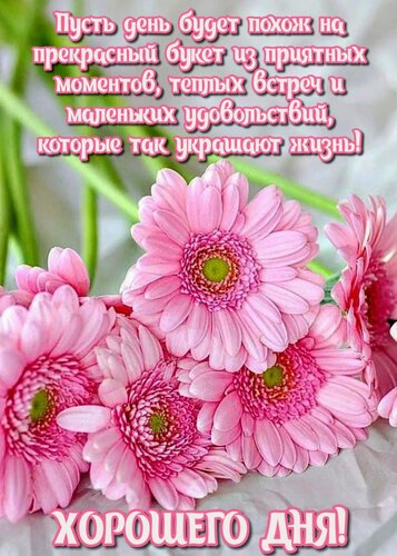 Открытка Пусть день будет похож на прекрасный букет из приятных моментов, тёплых встреч и маленьких...