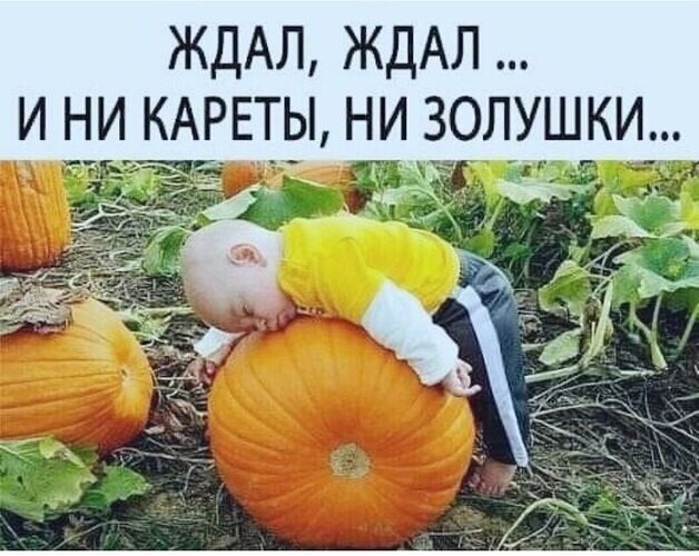 Открытка ни кареты ни золушки