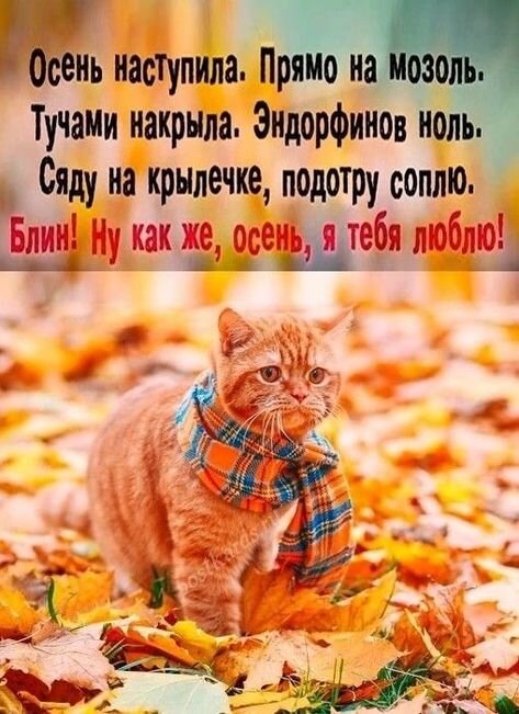 Открытка осень наступила