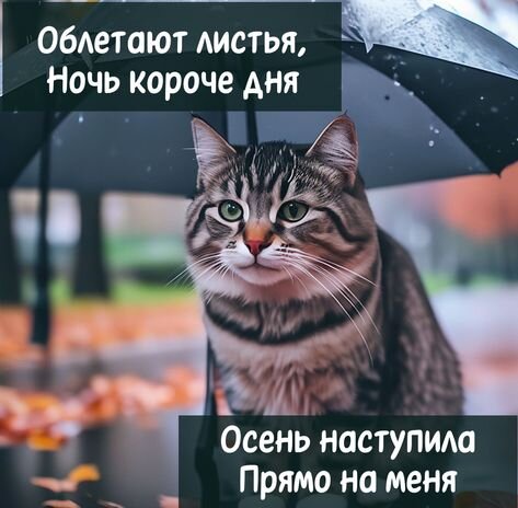 Открытка облетают листья