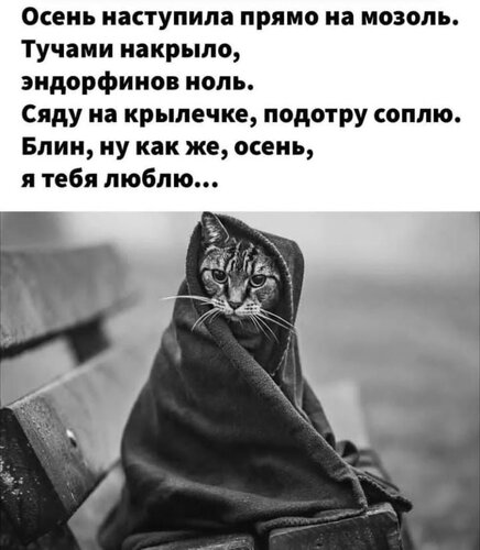 Открытка осень
