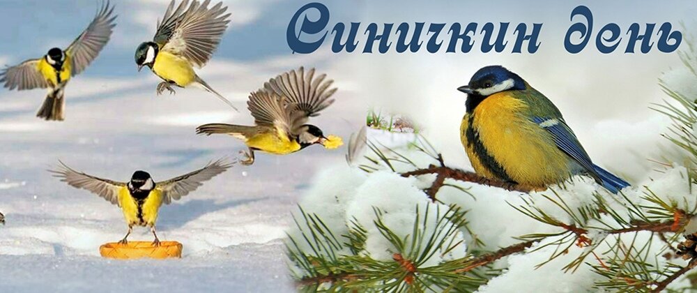 Открытка Синичкин день