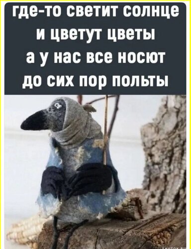 Открытка где то солнце светит