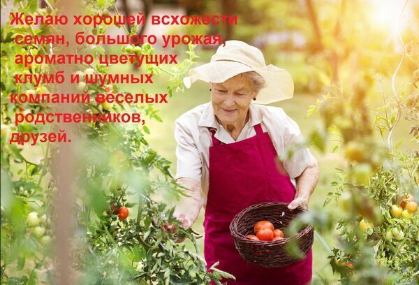 Открытка Всем желаю хорошей всхожести семян