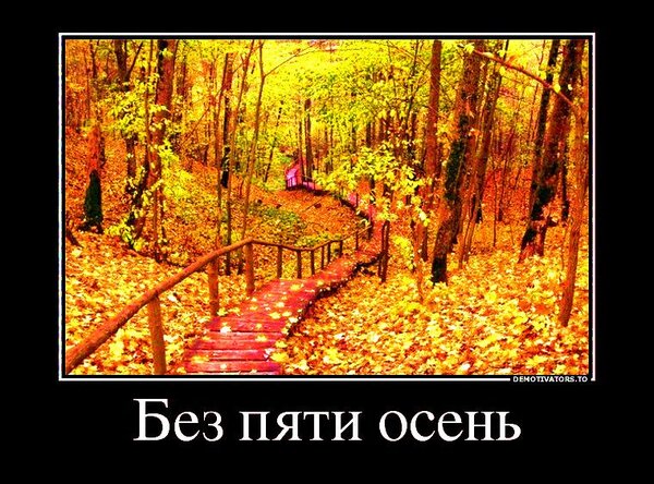 Открытка без пяти осень