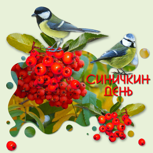 Анимированная открытка Синичкин день