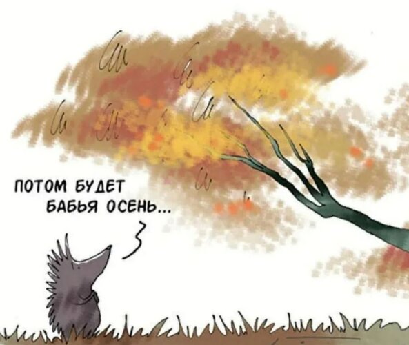 Открытка бабья осень