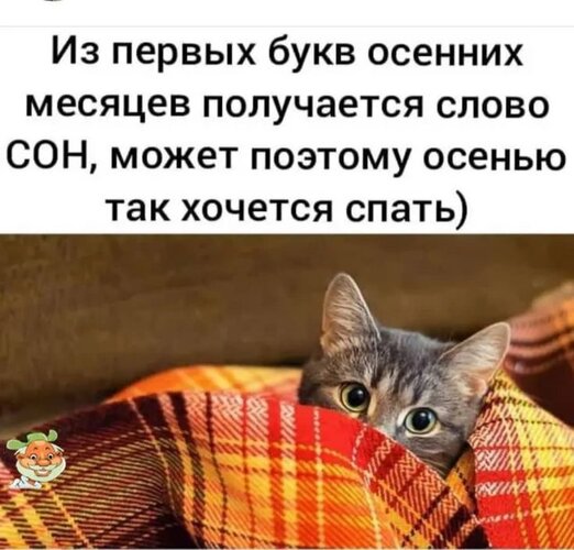 Открытка сон