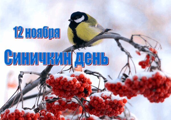 Открытка Синичкин день