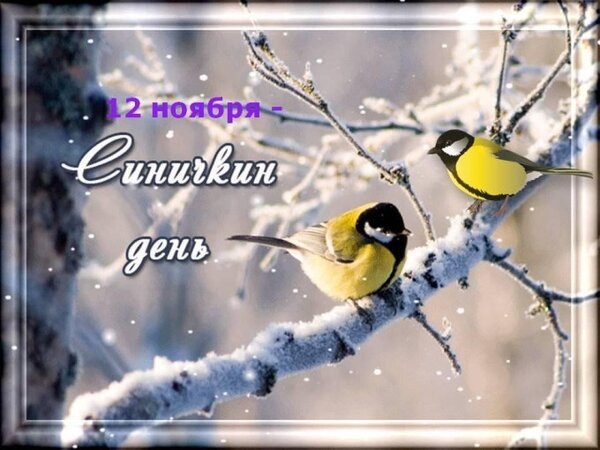 Открытка Синичкин день