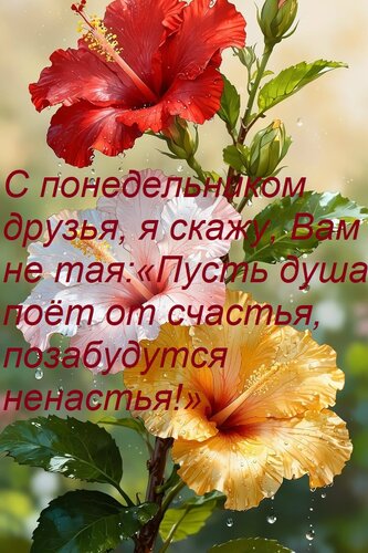 Открытка С понедельником друзья, я скажу, Вам не тая: «Пусть душа поёт от счастья, позабудутся ненастья!»,