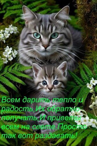 Открытка Всем дарить тепло и радость, Их обратно получать, И приветы всем на свете, Просто так вот раздавать!