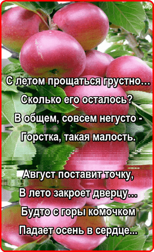 Анимированная открытка Август поставит точку