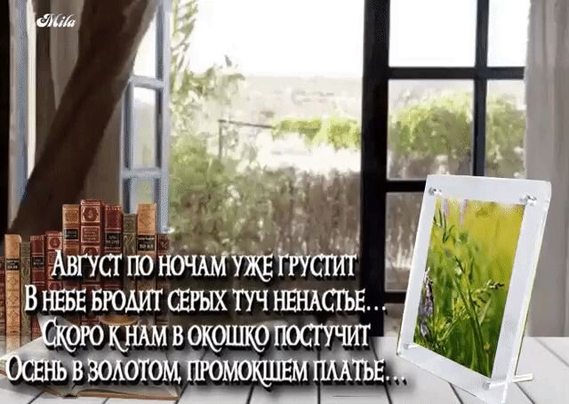 Открытка Август по ночам уже грустит