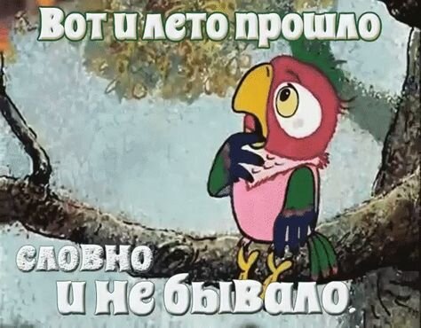 Открытка вот и лето прошло будто и не бывало
