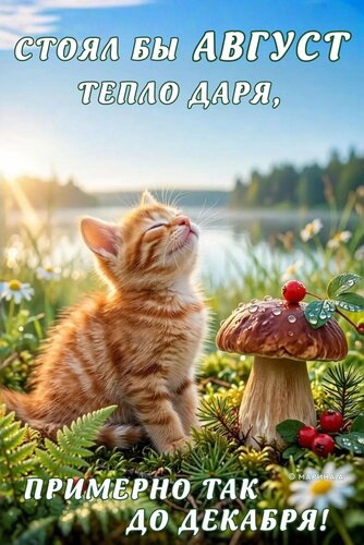 Открытка СТОЯЛ БЫ АВГУСТ ТЕПЛО ДАРЯ, ПРИМЕРНО ТАК ДО ДЕКАБРЯ!