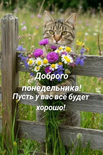 Открытка Доброе утро