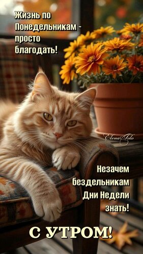 Открытка Понедельник