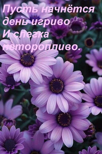 Открытка Пусть начнётся день игриво И слегка неторопливо.