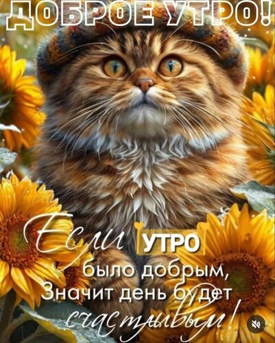 Открытка Доброе утро