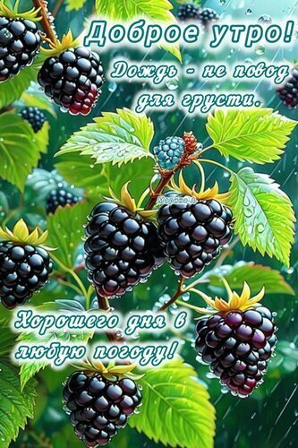 Открытка Доброе утро