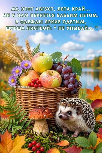 Открытка Ах, этот Август, лето... Он к нам вернется Бабьим Летом. В одежды яркие одетым, шурша листвой: не унывай 