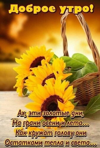 Открытка Доброе утро
