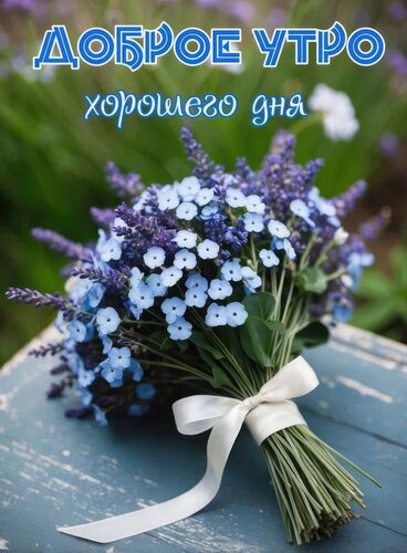 Открытка Доброе утро, хорошего дня