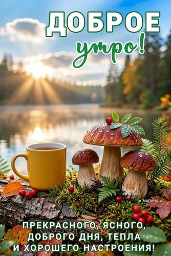 Открытка Доброе утро! Прекрасного, ясного, доброго дня, тепла и хорошего настроения!