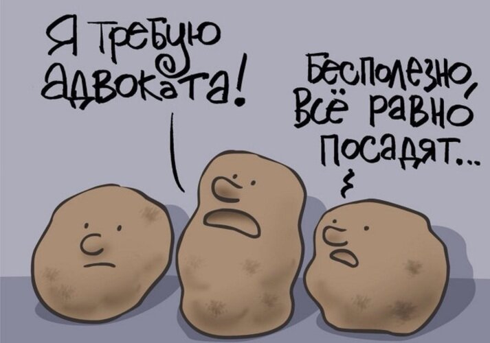 Открытка Я требую адвоката