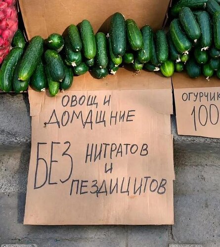Открытка овощи домащние