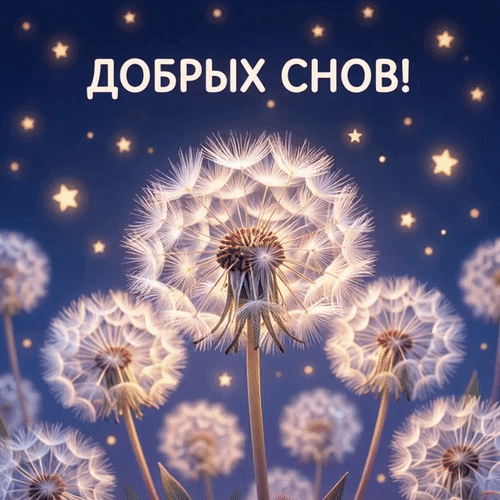Анимированная открытка Добрых снов!