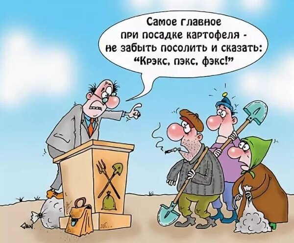 Открытка Крекс пэкс фэкс