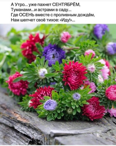 Открытка А утро уже пахнет Сентябрём