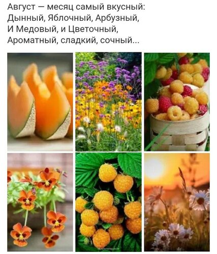 Открытка Август