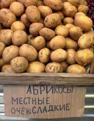 Открытка Абрикосы местные