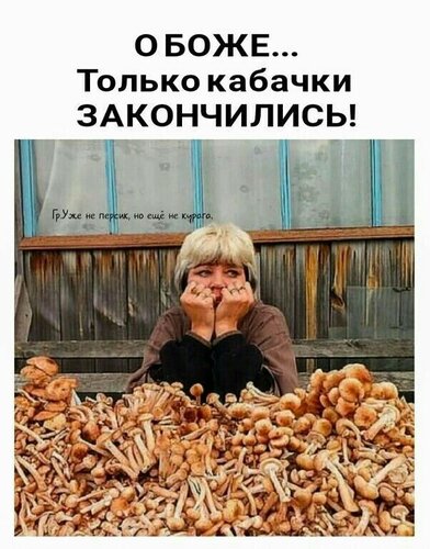 Открытка О Боже, только кабачки закончились