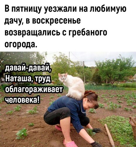 Открытка Труд облагораживает