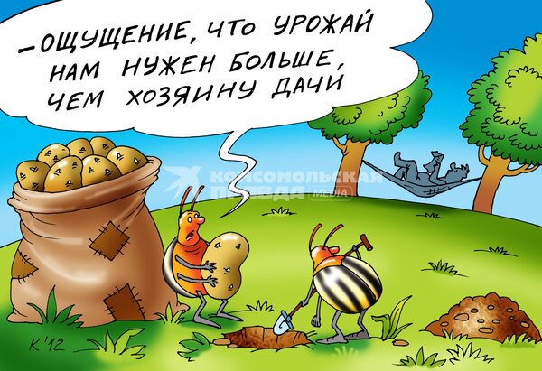 Открытка Урожай