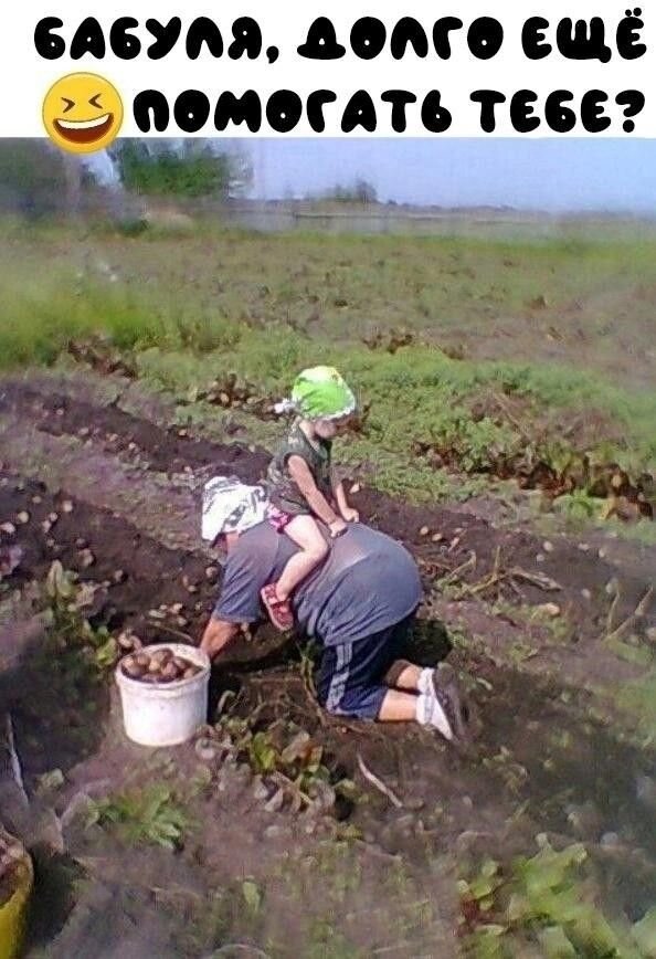 Открытка бабуля