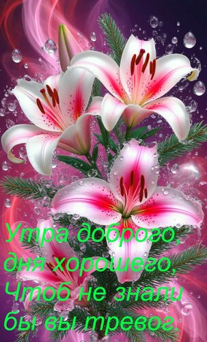 Открытка Утра доброго, дня хорошего, Чтоб не знали бы вы тревог.