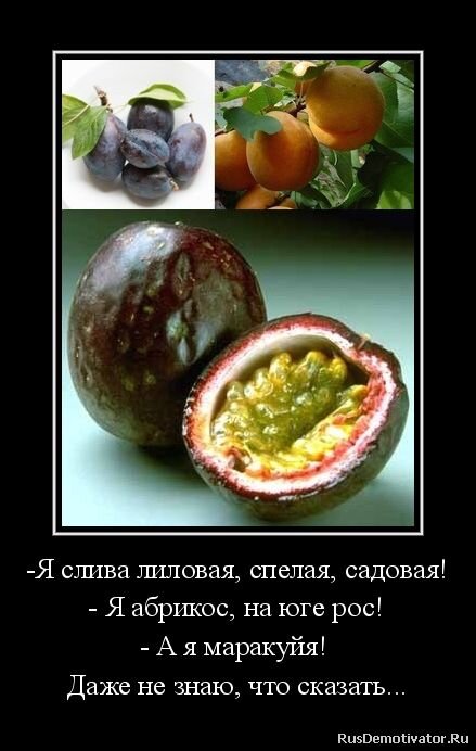 Открытка сливая лиловая