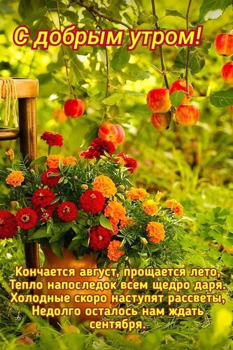 Открытка С добрым утром