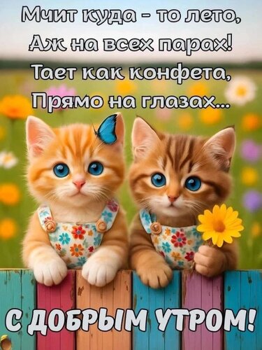 Открытка С добрым утром