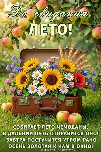 Открытка ДО СВИДАНИЕ, ЛЕТО! СОБИРАЕТ ЛЕТО ЧЕМОДАНЫ, В ДАЛЬНИЙ ПУТЬ ОТПРАВИТСЯ ОНО! ЗАВТРА ПОСТУЧИТСЯ УТРОМ РА