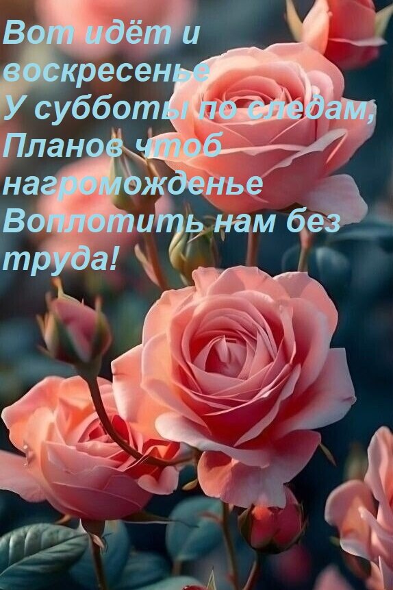 Открытка Вот идёт и воскресенье У субботы по следам, Планов чтоб нагроможденье Воплотить нам без труда!