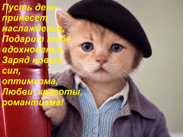 Открытка Пусть день принесет наслажденье, Подарит тебе вдохновенье, Заряд новых сил, оптимизма, Любви, красот